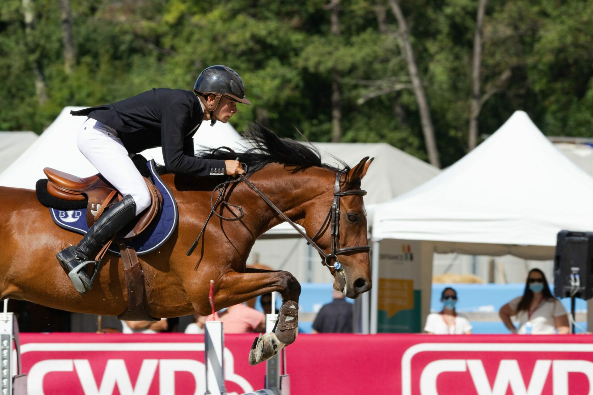 Équitation